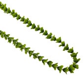 ���ò���Kapalili�ѥ���ʥ��󥰥쥤 ���꡼��150cm/FLKP515B