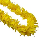 ���ò���JL���ҥꥸ�󥸥㡼�쥤 ��������(�����)/����FL128B