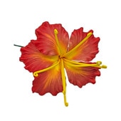 ���ò���10cm/���ϥ����꡼�ե�����ԥå�/�����2/����TF182