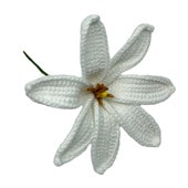 ���ò���12cm/�˥åȥƥ�����ԥå�/�ۥ磻��#1/����TF183