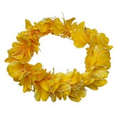 Kapalili ���ҥꥸ�󥸥㡼/��������(�ᤷ�٤��Ѥ��ޤ���)/FHKP142B