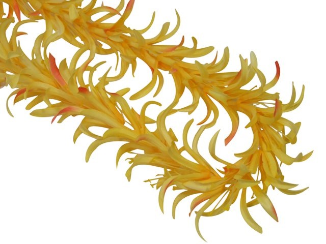 �ò������ѥ�������꡼�쥤���������� FL227