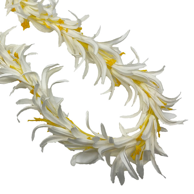 �ò������ѥ�������꡼���󥰥쥤���ۥ磻�� (�������礤���Ѥ��ޤ������ᤷ�٤οĤϲ���)FL152