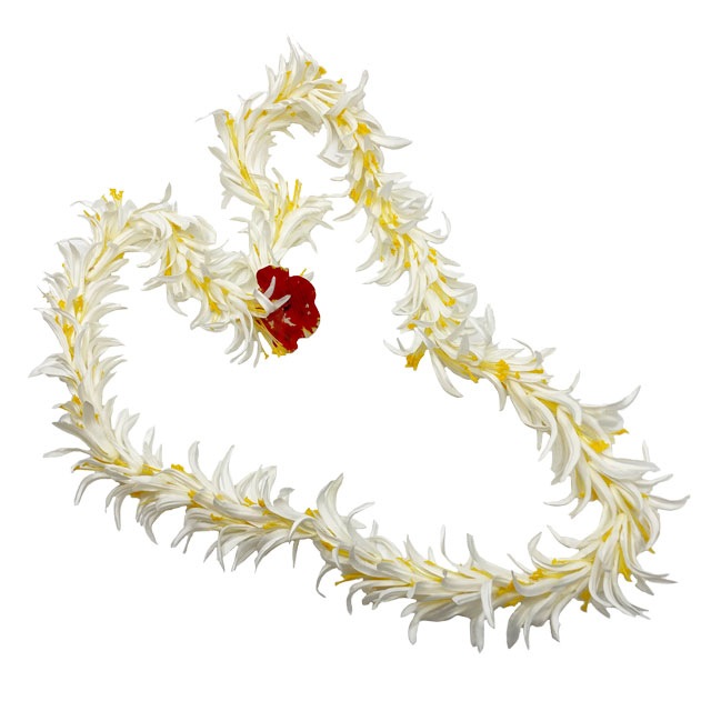 �ò������ѥ�������꡼���󥰥쥤���ۥ磻�� (�������礤���Ѥ��ޤ������ᤷ�٤οĤϲ���)FL152