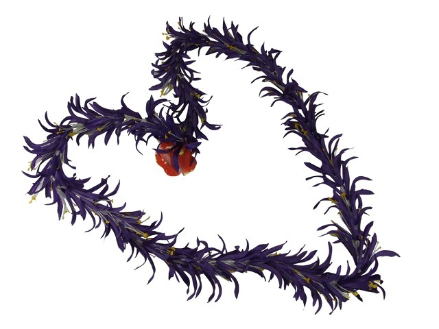 �ò������ѥ�������꡼���󥰥쥤���ѡ��ץ롡FL191