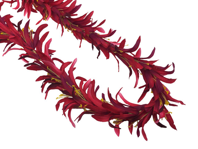 �ò��������ѥ�������꡼���󥰥쥤����åɡ� FL377