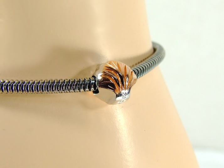 ӡ㡼 ڥȥȥåפˤ⤪!!P1055