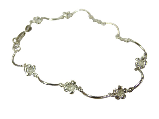 �ץ��ꥢ���󥯥�å� A204