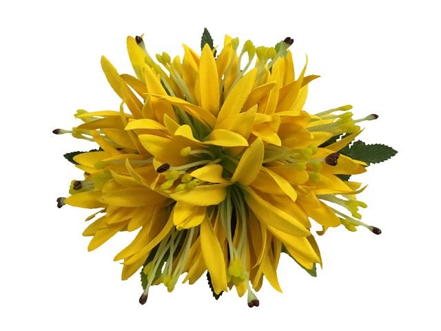 ���ò��ۥ��ѥ�������꡼���إ�������å� ��������(΢¦���Ѥ��ޤ���)/HP284C