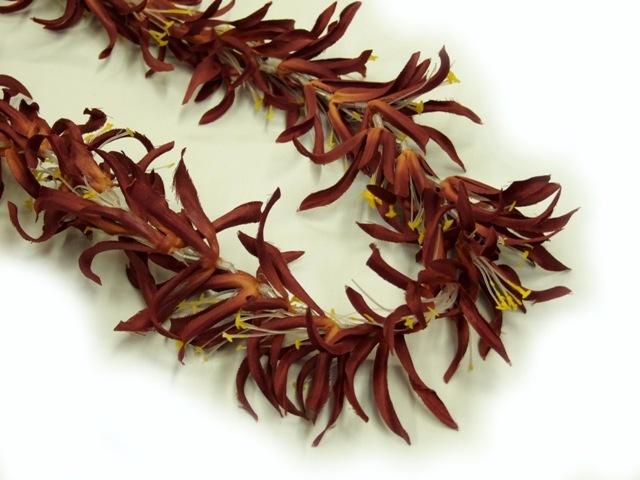 �ò������ѥ�������꡼�쥤���֥饦��(FL162)