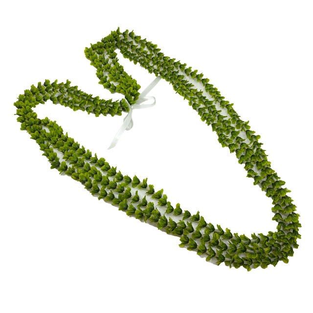 ���ԡ����ò���Kapalili��Ϣ�ѥ���ʥ��󥰥쥤 ���꡼��150cm/FLKP515A