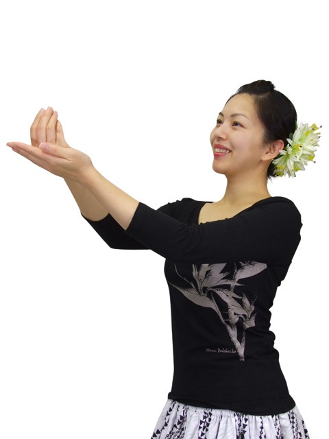 Kapaliliꥸʥ ä꥿/ʬµԥ Сɥ֥ѥ-١/֥åKOT156
