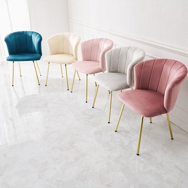 貝殻のようなエレガントで大人可愛いチェア/インテリアチェア/ダイニングチェア