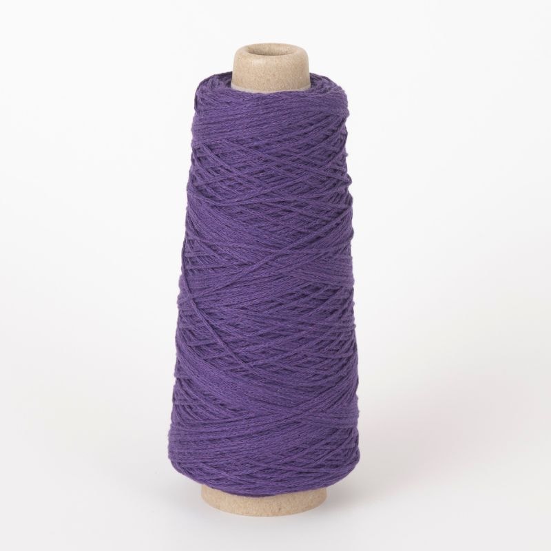 わたかみりりり　WL88　ホンムラサキ