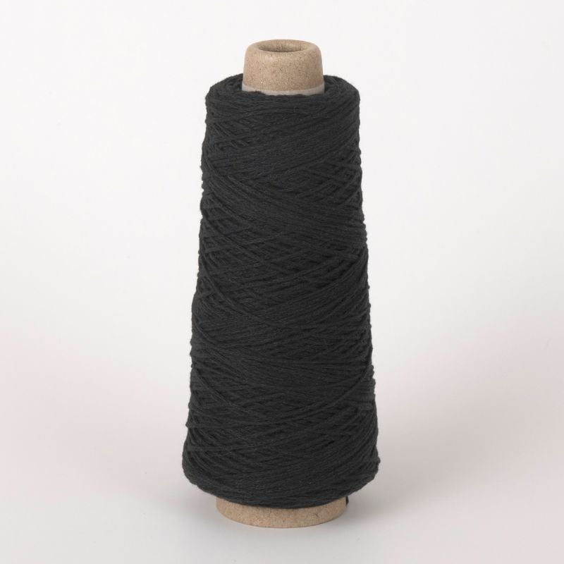 わたかみりりり　WL96　ヌレガラス