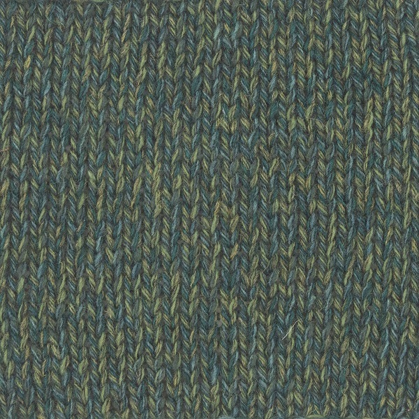 カムバック（06　ミドリ）