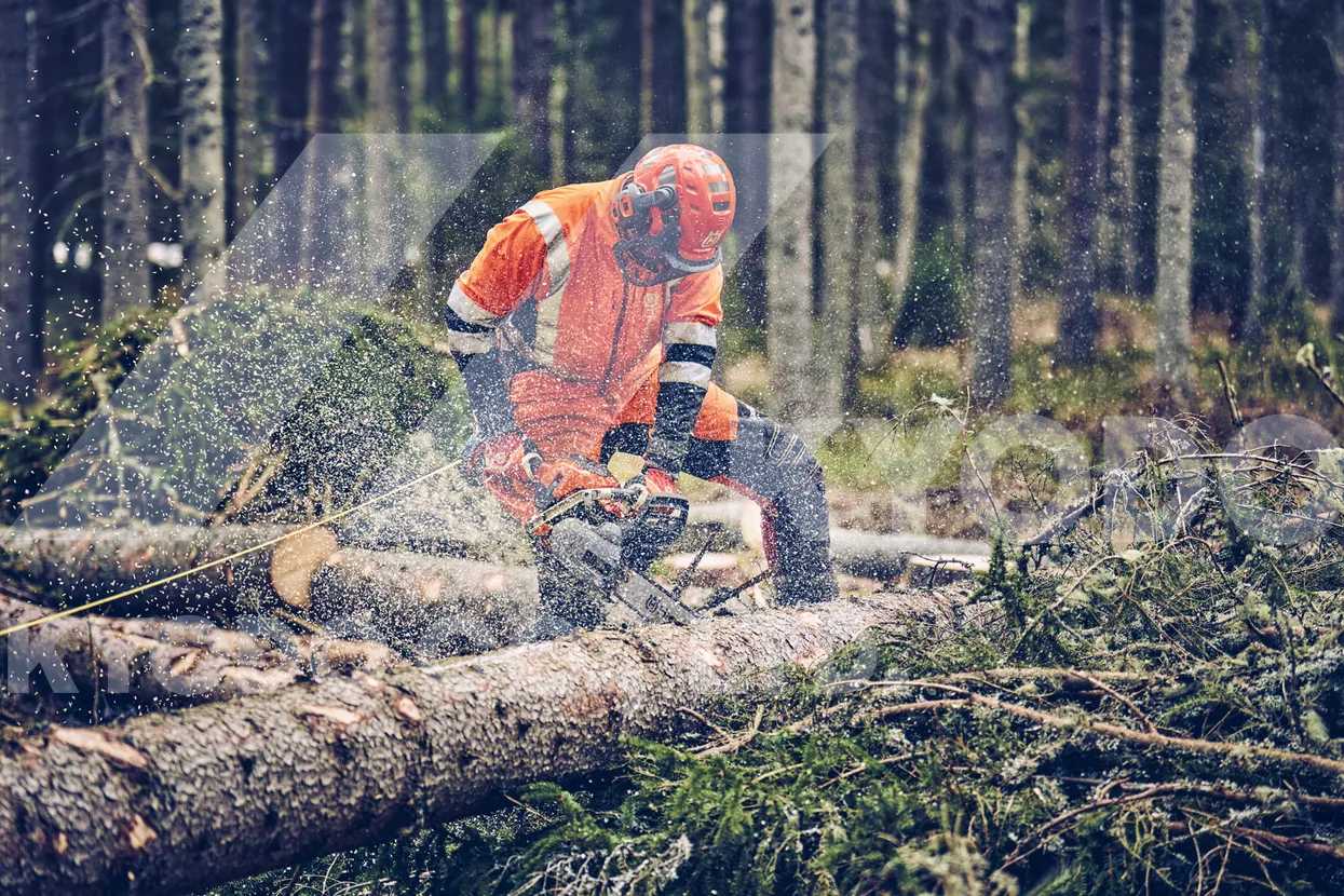 Husqvarna 560 XP Mark II 20XTL チェンソー | チェンソー
