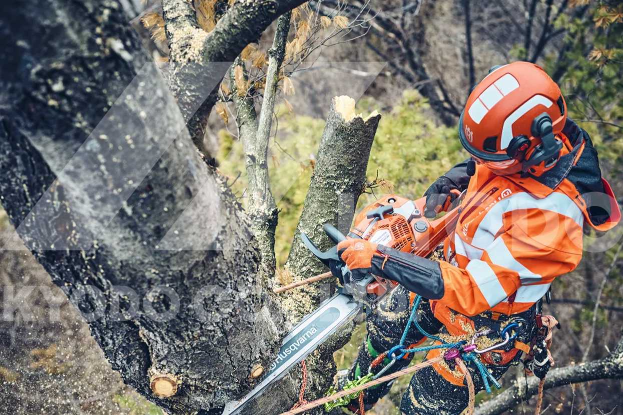 Husqvarna 560 XP Mark II 20XTL チェンソー | チェンソー