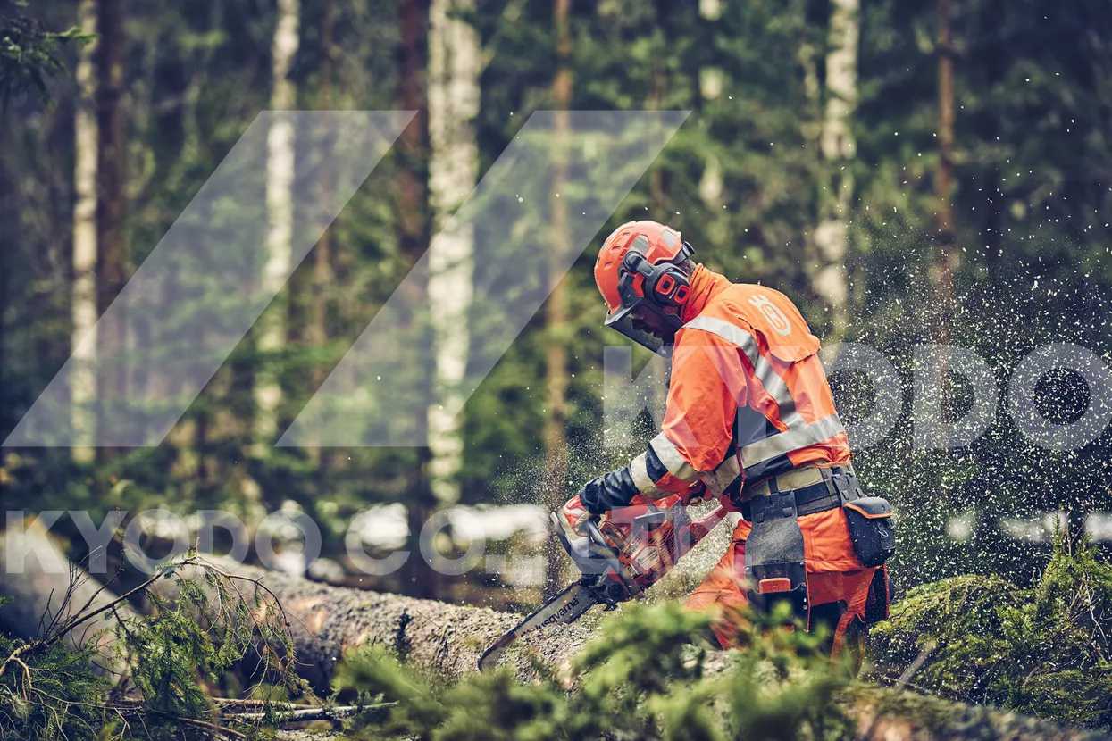 Husqvarna 560 XP Mark II 20XTL チェンソー | チェンソー | KeStore