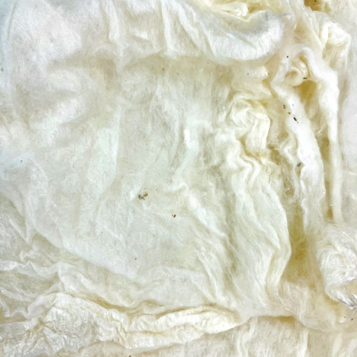 絹真綿　白 50g