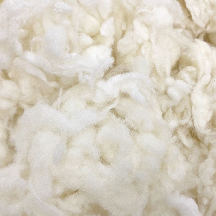 特価　XBノイル　50ｇ