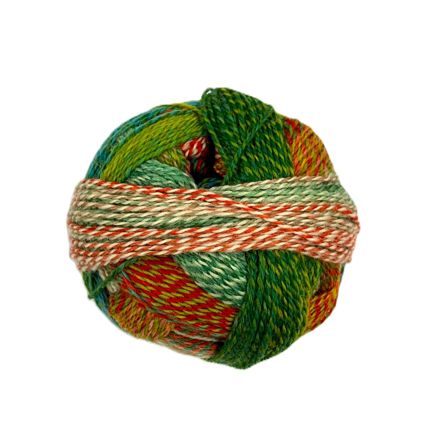 W950 1701 ｼｮｯﾍﾟﾙ ｸﾚｲｼﾞｰ Papagei(Parrot)