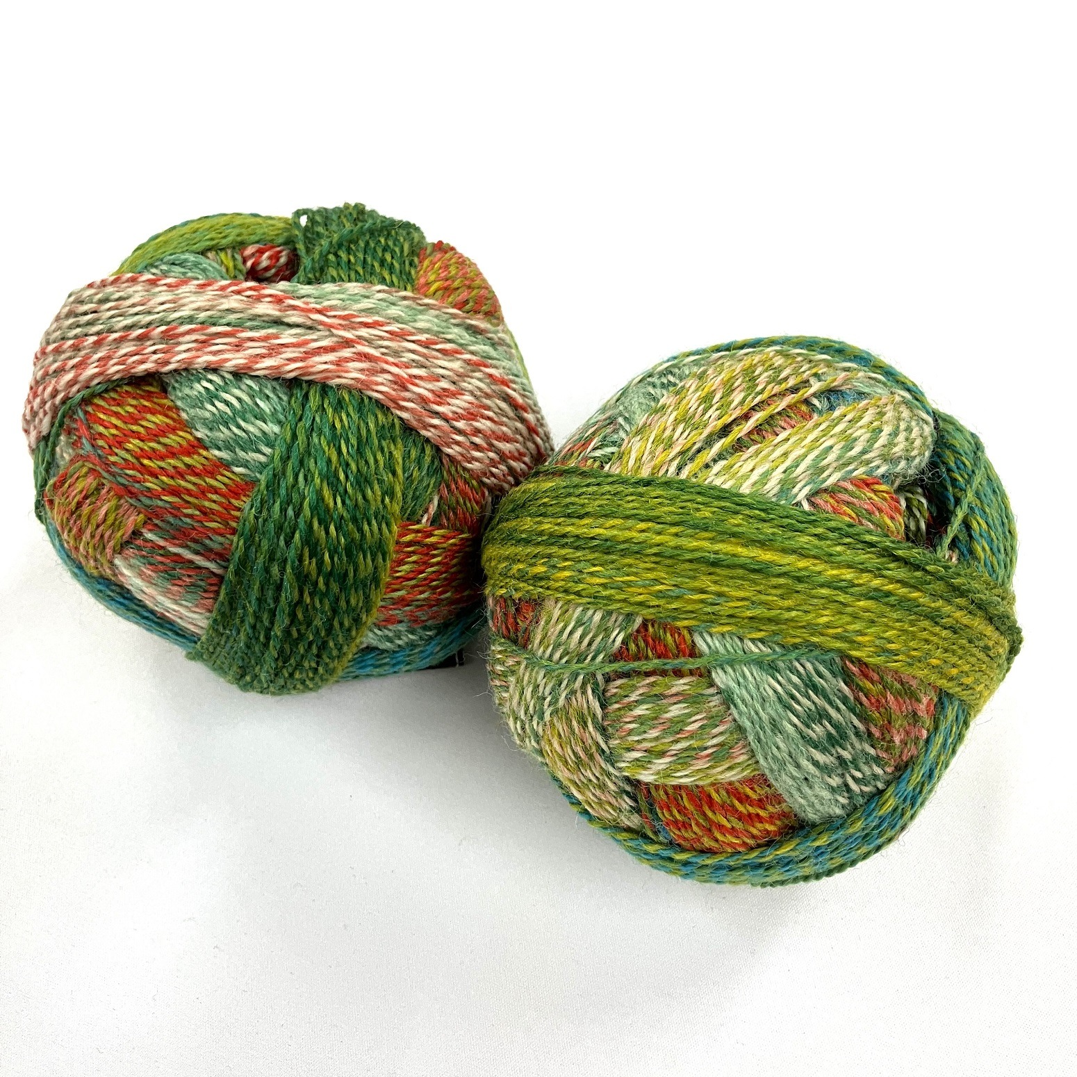 W950 1701 ｼｮｯﾍﾟﾙ ｸﾚｲｼﾞｰ Papagei(Parrot)