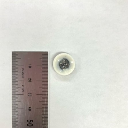 【20%off】ドイツ製H16C　水牛ボタン15mm
