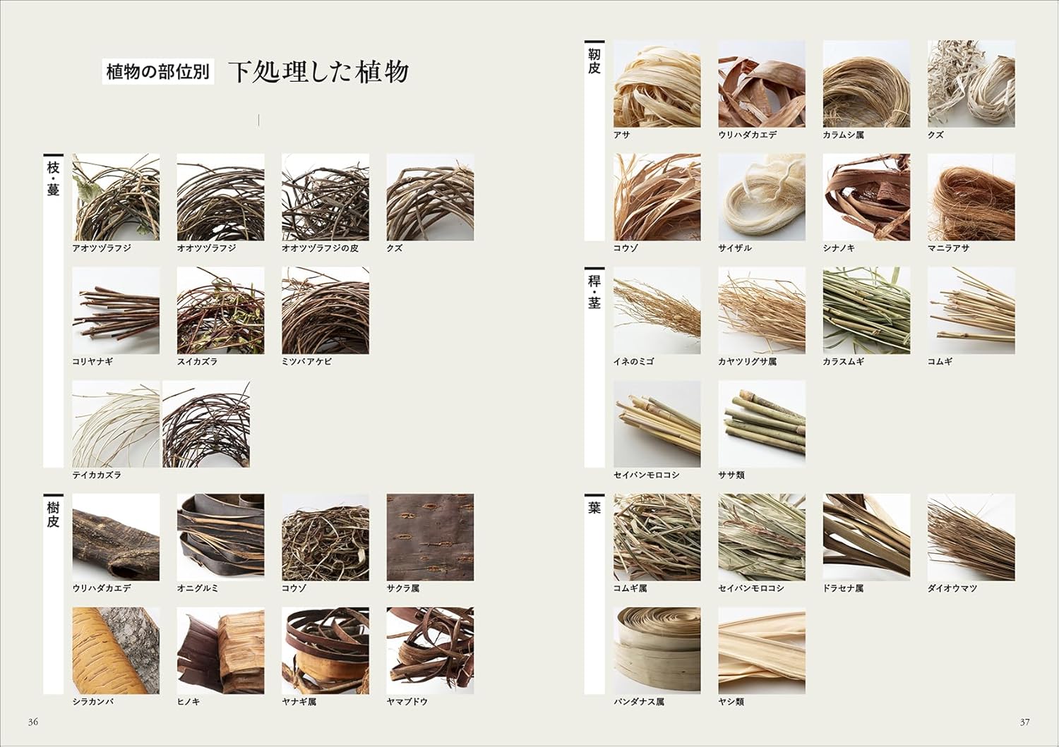 JBK6100　自然素材を編む