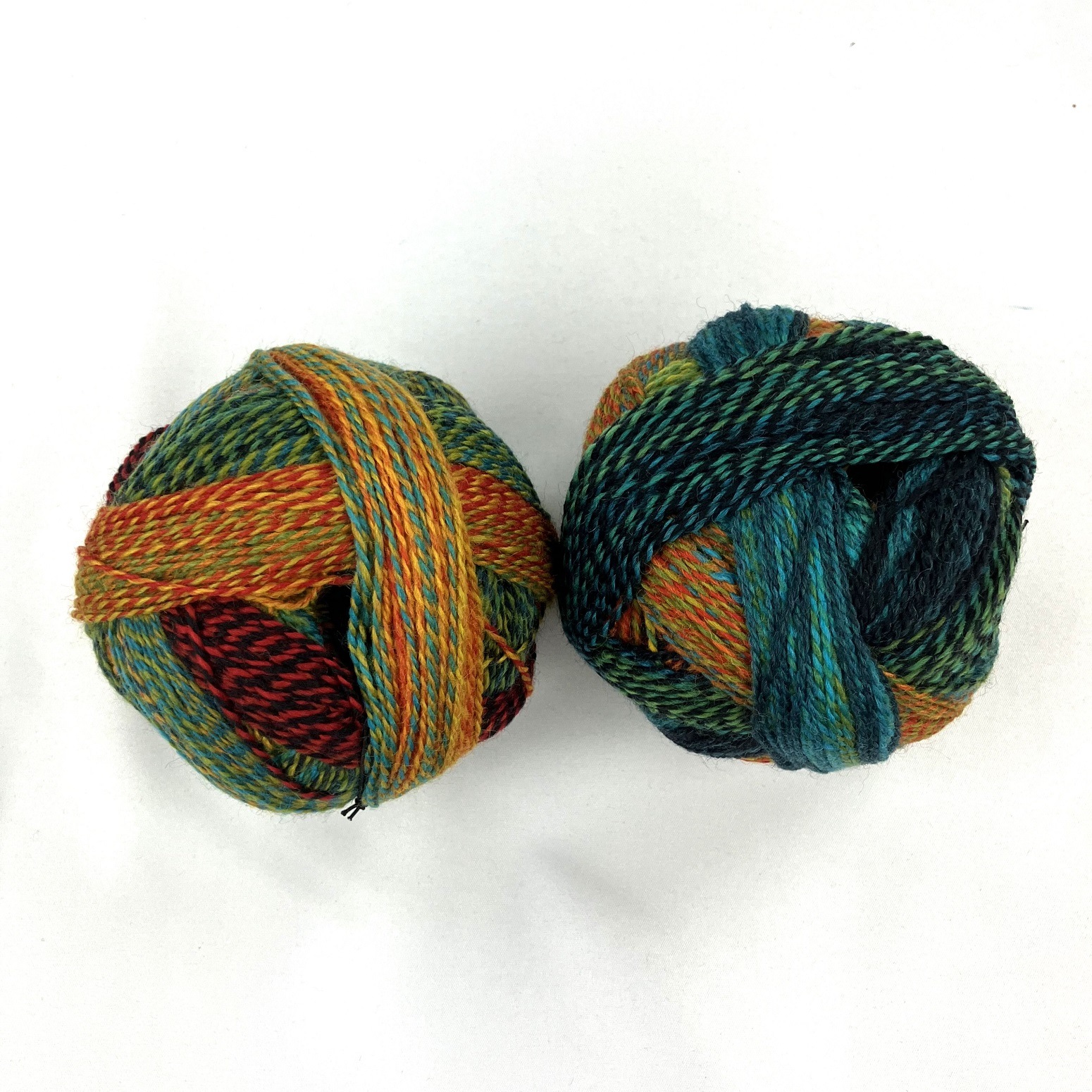 W950 1564 ｼｮｯﾍﾟﾙ ｸﾚｲｼﾞｰ Frische Fische(Tropical Fish)