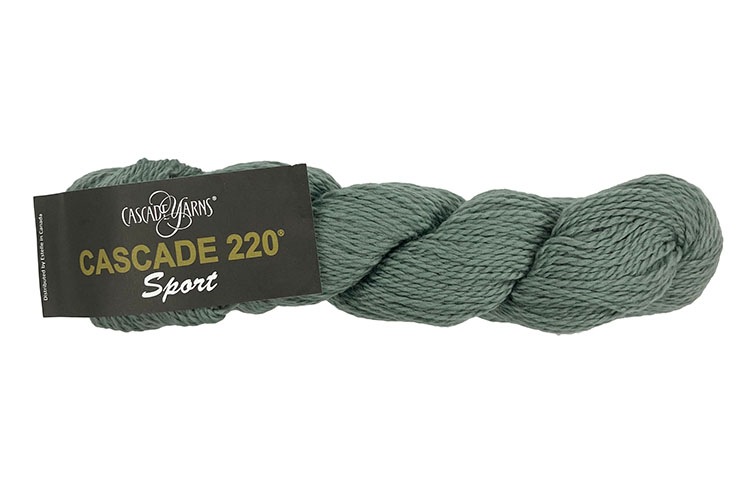 W921 ｶｽｹｰﾄﾞ ｽﾎﾟﾙﾄ 並太(Ginseng)     #9593　