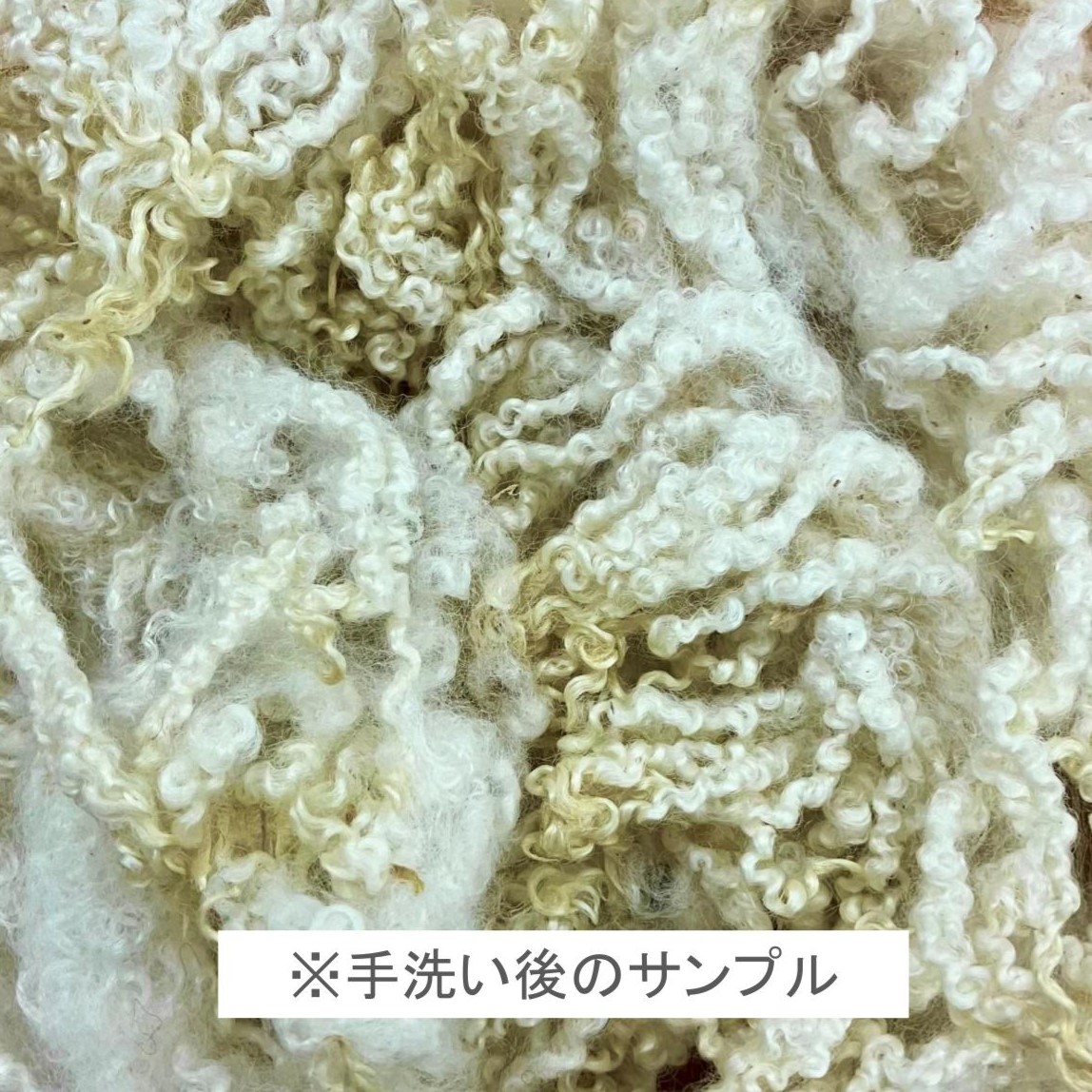 英国フリース　ブルーフェースレスター　白(生成り)　100g