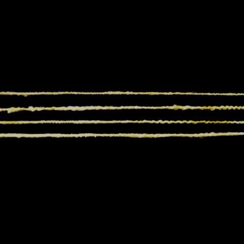 S320.絹タッサー手引き糸 生成り 絹100% 100g綛 1650円/100g(税込)