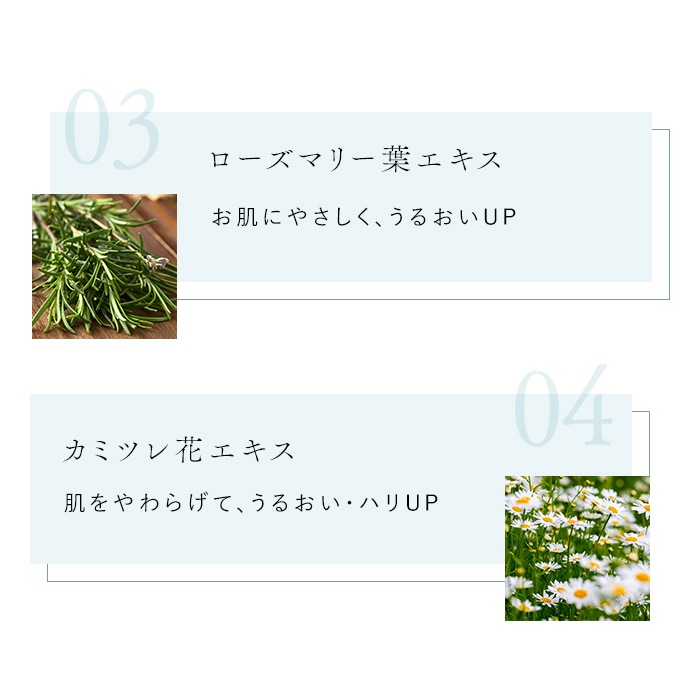 �������������եȥ��꡼��