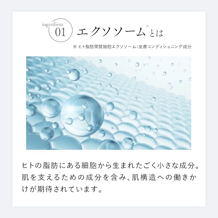 �������������եȥ��꡼��