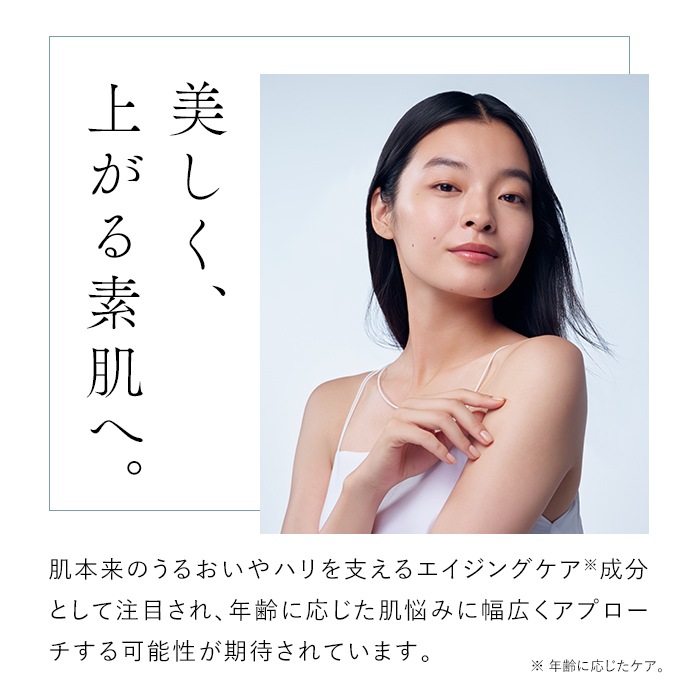 �������������եȥ��꡼��