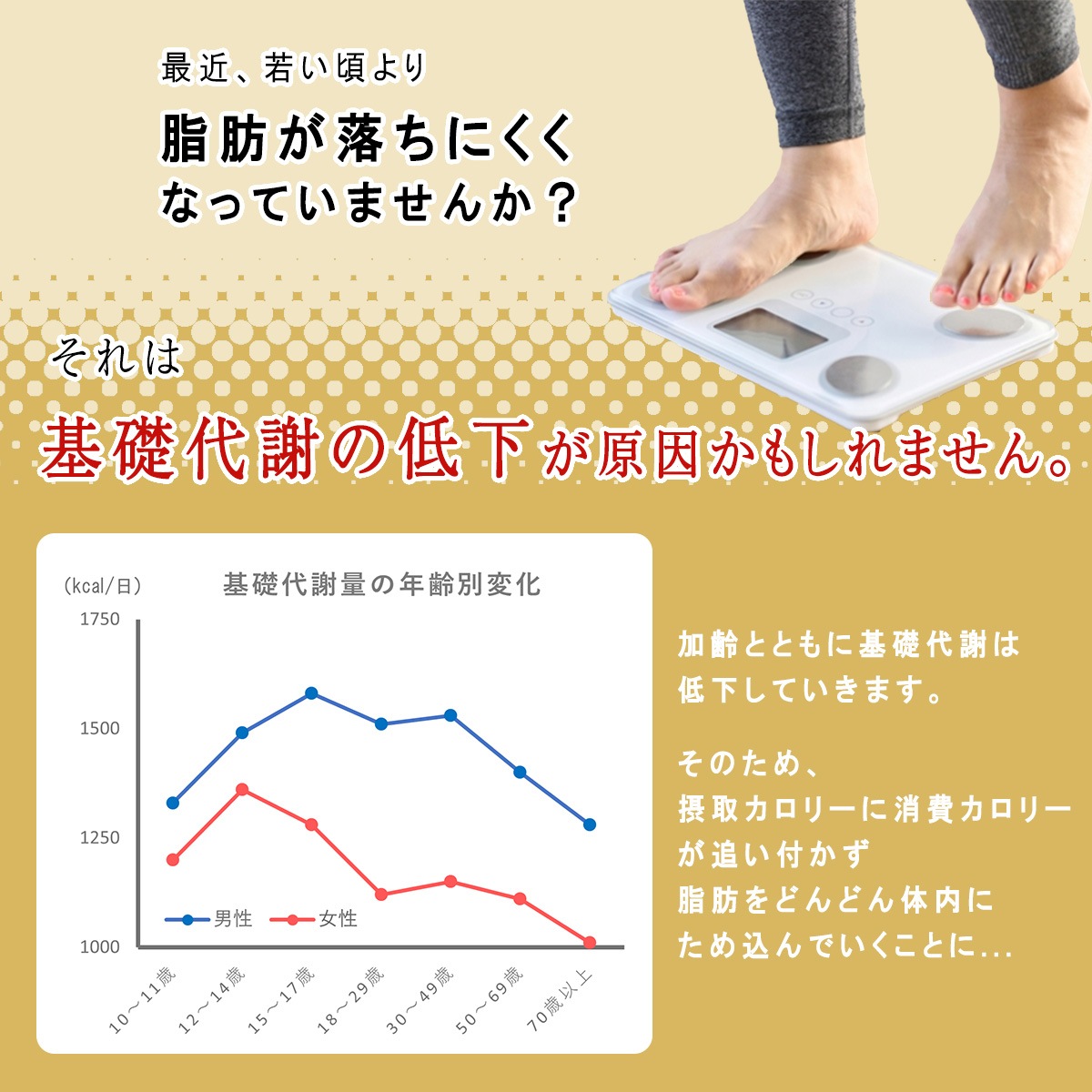 【機能性表示食品】低糖質Plus パン・オ・クレーム 24個入り