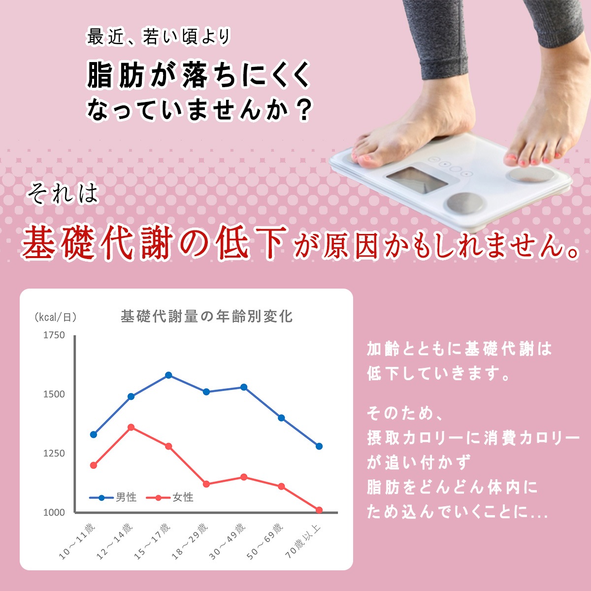 【機能性表示食品】低糖質Plus パン・オ・ショコラクレーム 24個入り