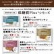 低糖質食べ比べセット 12個入り