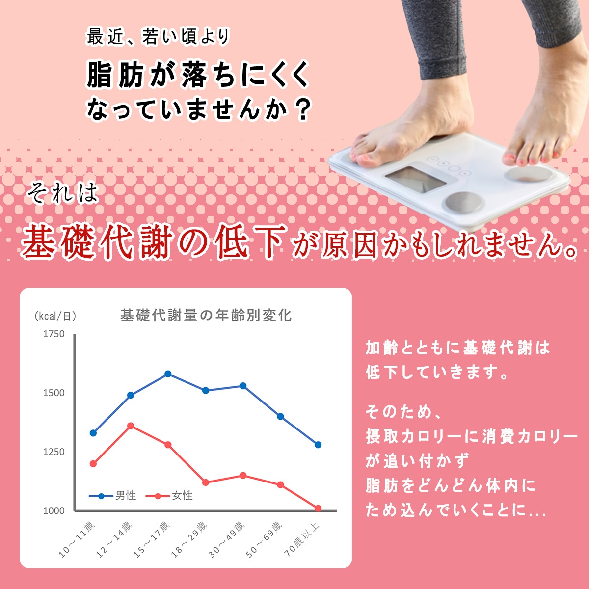 【機能性表示食品】低糖質Plus 北海道小豆あんぱん 24個入り
