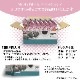 【機能性表示食品】低糖質Plus パン・オ・ショコラクレーム 12個入り