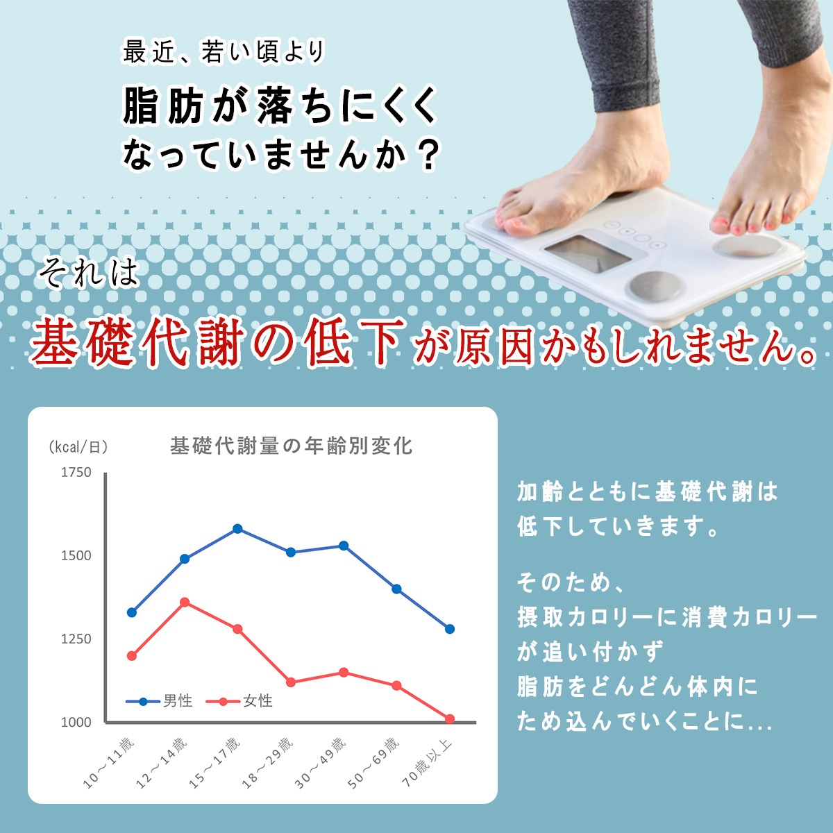 【機能性表示食品】毎日低糖質Plusセット 36個入り