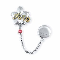 �ޥ��ͥåȥԥ��FWT �������