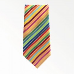 �ͥ�������SDGs��17ALL