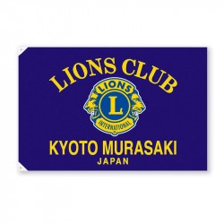 ���� �����̾��������