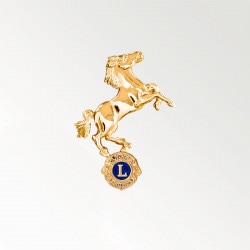 ���å��ԥ�ֺ���/L�׶⿧