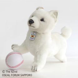 ̤ߡ̳ƻʻҸˤΥ祦إ 