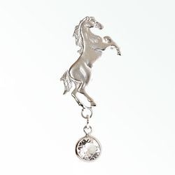 �������󥰥ԥ� �ֺ��ϡ�hidariuma��