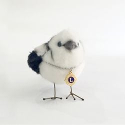 �̤�����ߡ֥��ޥ��ʥ��Υݥå����