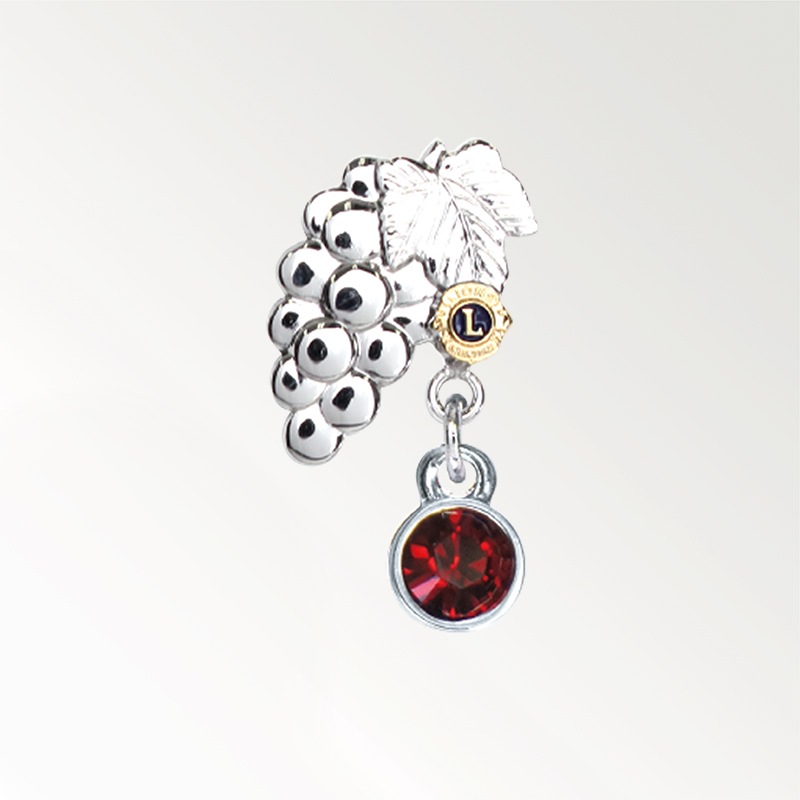 �������󥰥ԥ�֤֤ɤ���